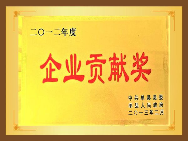 企業(yè)貢獻(xiàn)獎(jiǎng).jpg